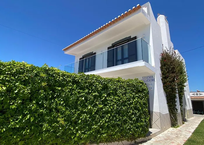 Vila: Vivenda Silvestre Family House