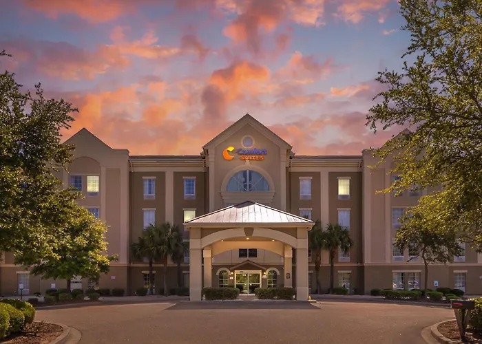 Airport Hotel: Comfort Suites Myrtle Beach Central