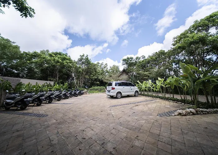 The Mesare Jungle Resort