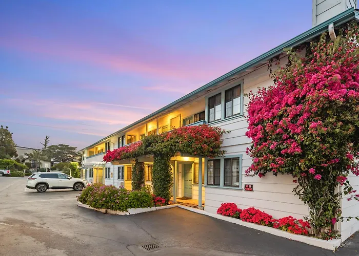 Motel: Arbor Inn Monterey