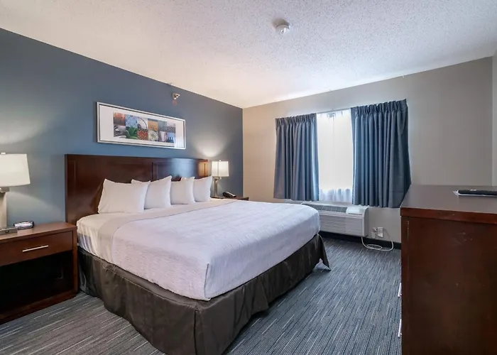 Pet Friendly hotel: Wingate By Wyndham Great Falls