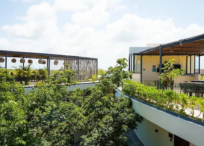 Mistiq Gardens