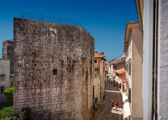 Huisdiervriendelijk hotel: Valamar Riviera Hotel & Residence (Adults Only)