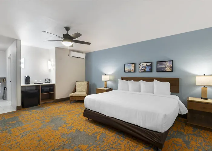 Dog friendly hotels Best Western Plus Jekyll Island