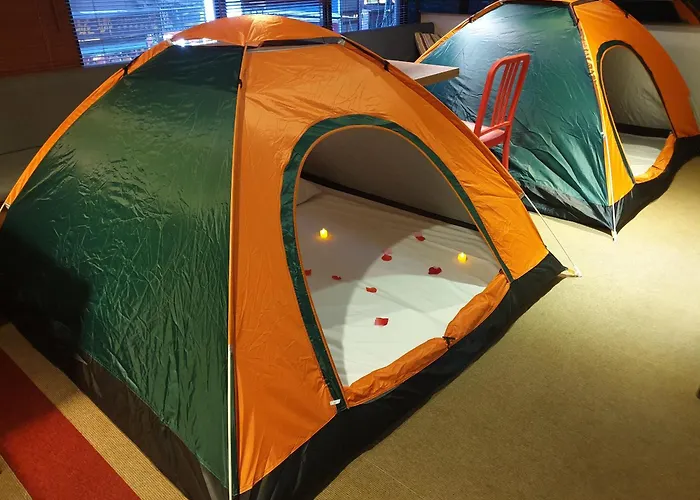 Pets Allowed Hotel Colors Infinity