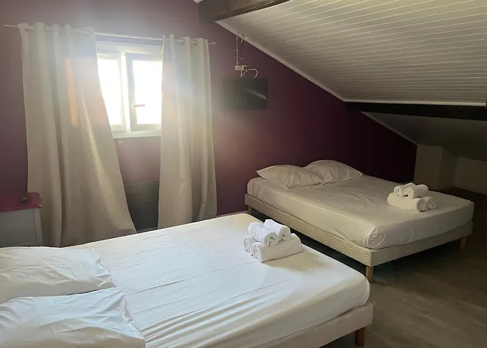 Hôtel accueillant les animaux: Hôtel Bellevue