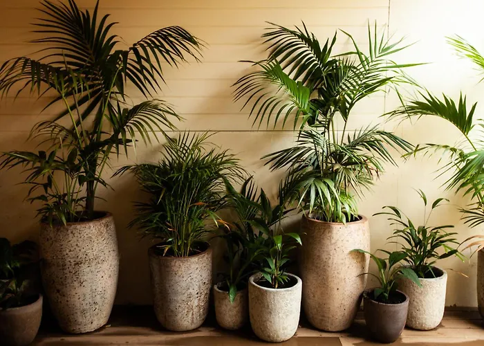 3 star hotel: Maand Up Fremantle