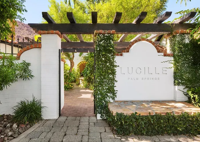Pets Allowed Hotel Lucille Palm Springs