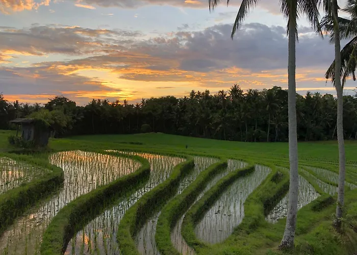 Coco Verde Bali Resort