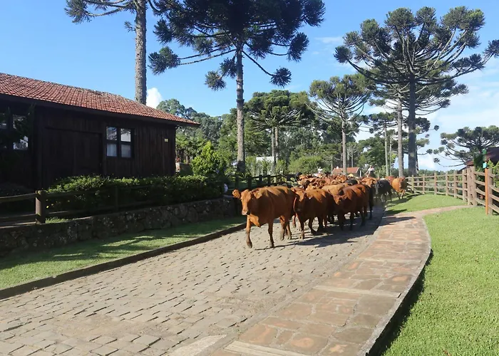 Hotel que aceita animais de estimação: Boqueirão Hotel Fazenda