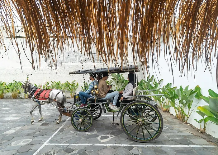 Jogja Life s