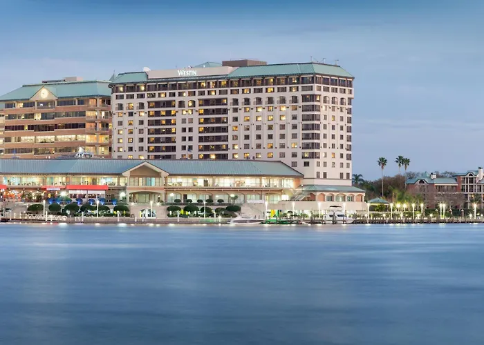 Hotel near College: The Westin Tampa Waterside