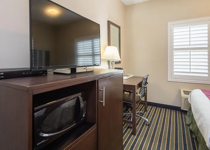 Motel: Travel Inn Sunnyvale