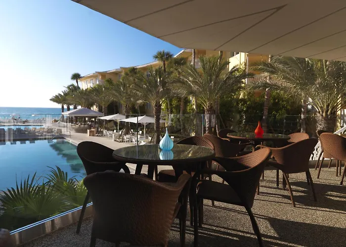 Pet Friendly hotel: Edgewater Beach Hotel