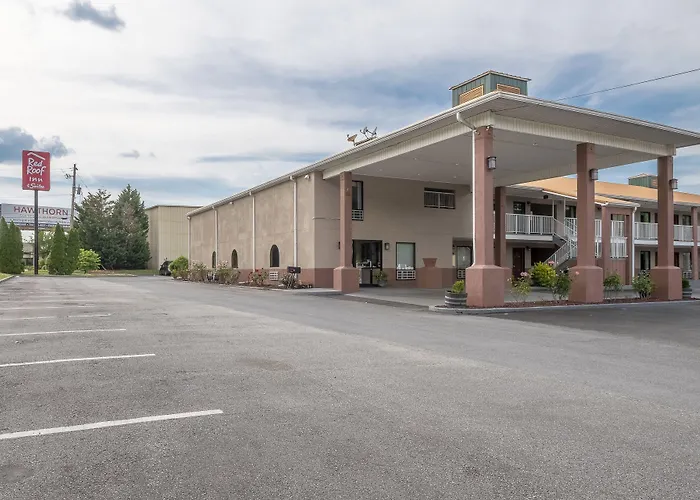 Motel: Red Roof Inn & Suites Rome