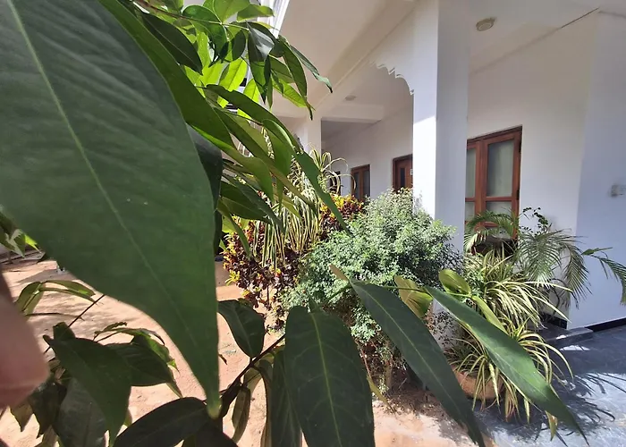 Guest house: Beach Life Uppuveli