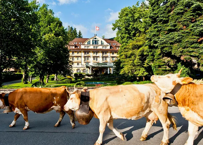 Le Grand Bellevue