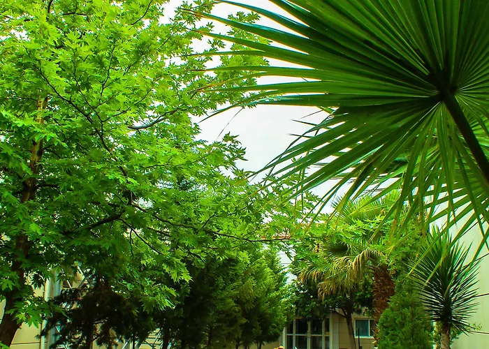 Hotel di lusso: The Crescent Beach Hotel