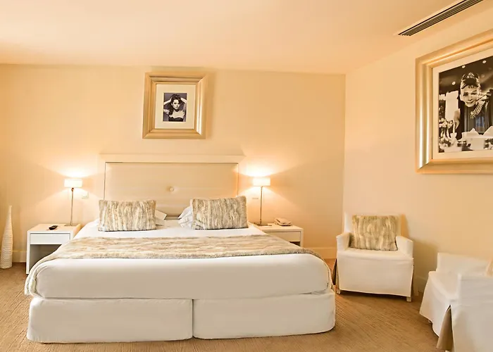 Pet Friendly hotel: Hotel Renoir