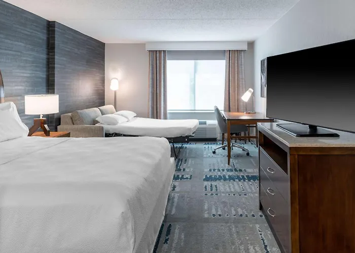 Pet Friendly hotel: Hilton Garden Inn Arlington/Courthouse Plaza