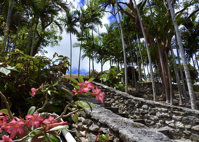 Hôtel bon marché: Orange Hill Beach Inn