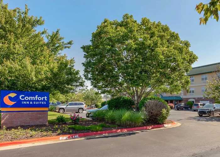Cheap hotel: Comfort Inn & Suites Fayetteville-University Area