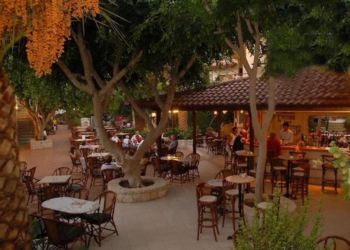 4-Sterne-Hotel: Cactus Beach Hotel