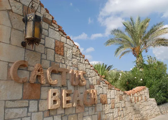 4-Sterne-Hotel: Cactus Beach Hotel