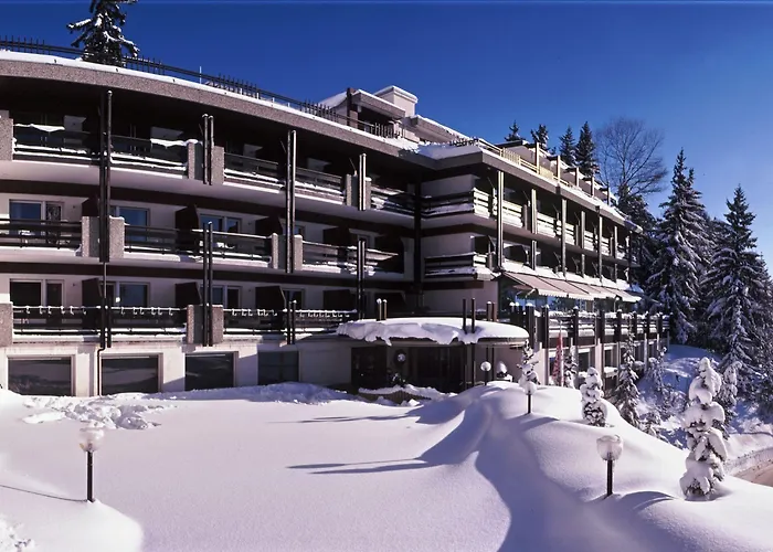 Hôtel accueillant les animaux: Hôtel de la Forêt