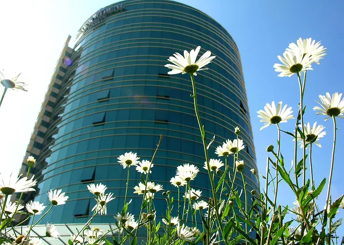 Hotel de lujo: Suites Camino Real