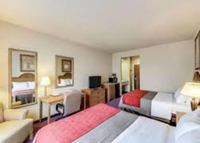 Pet Friendly hotel: Comfort Inn & Suites Fredericksburg
