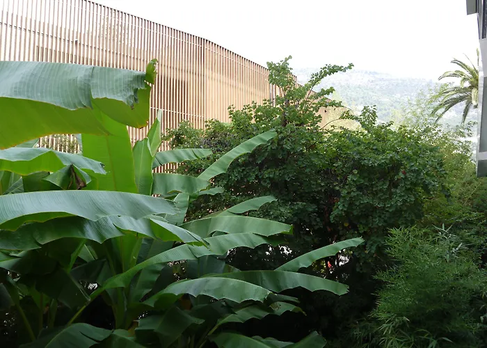 Pet Friendly hotel: Hotel Napoleon