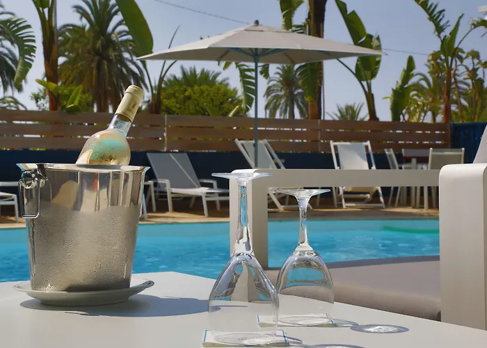 Pet Friendly hotel: Hotel Napoleon