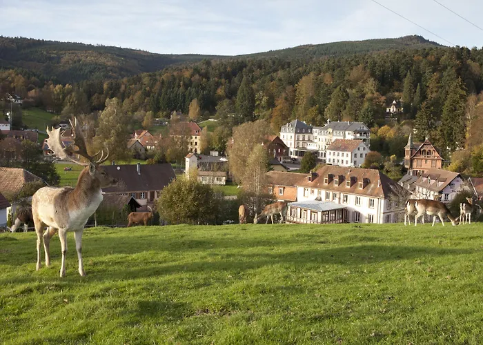 Le Grand Hotel Du Hohwald By Popinns