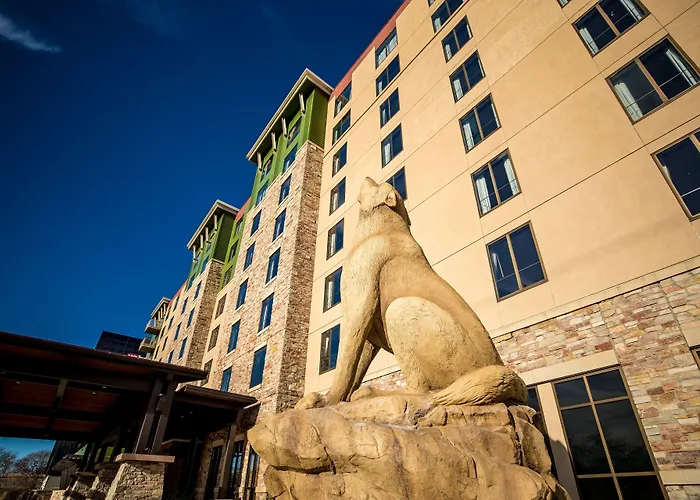 Hotel: Great Wolf Lodge Bloomington