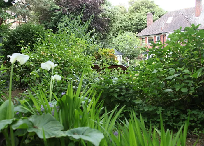 Guest house: Yenton Hotel