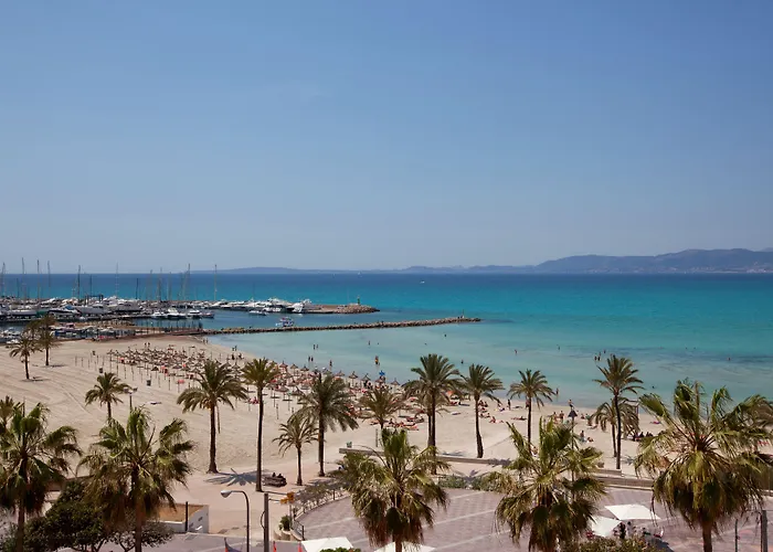 Hotel sulla spiaggia: Whala!Beach