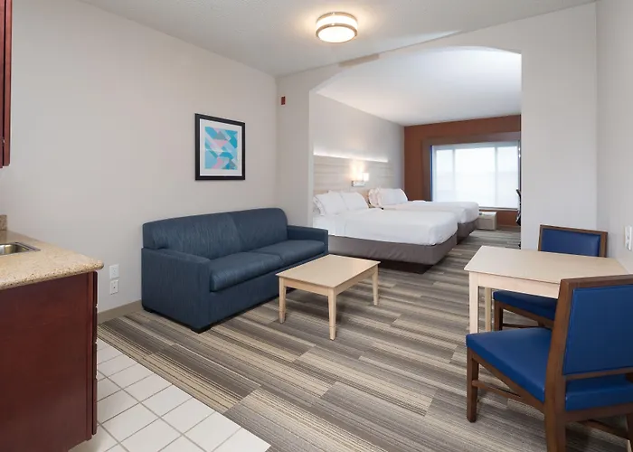Holiday Inn Express Hotel & Suites Grand Blanc By Ihg