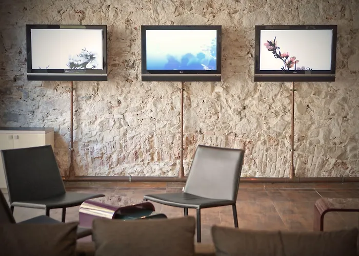 Hôtel accueillant les animaux: Onix Liceo