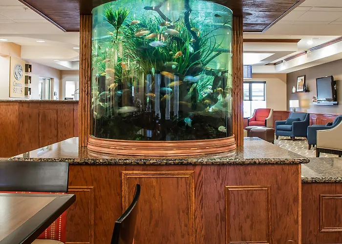 Hotel suites Comfort Suites Near Texas A&M - Corpus Christi