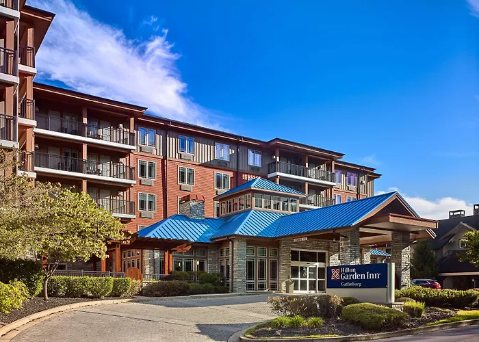 Luxury hotel only: Hilton Garden Inn Gatlinburg