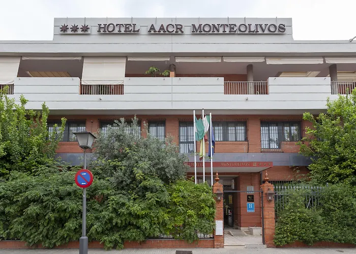 Hotel met uitzicht: Aacr Hotel Monteolivos