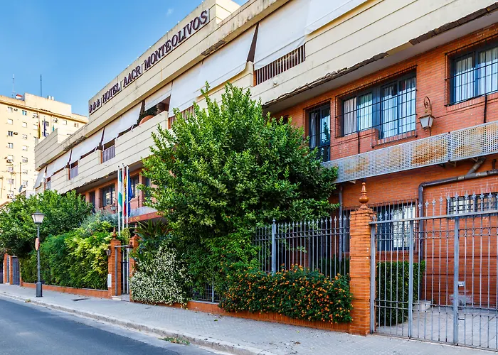 Hotel met uitzicht: Aacr Hotel Monteolivos