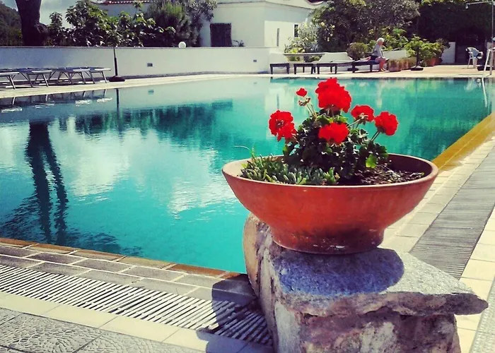 Hotel 3 stelle: Hotel Al Bosco