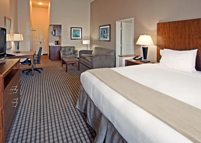 Holiday Inn Express Hotel & Suites Port Arthur, An Ihg Hotel