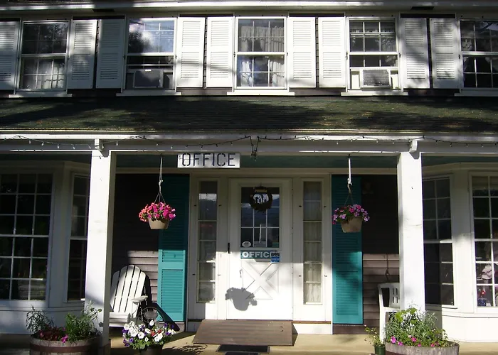 Motel: White Trellis Motel