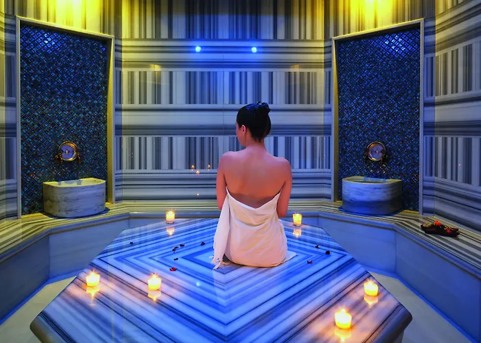 Hôtel accueillant les animaux: Movenpick Hotel Ankara