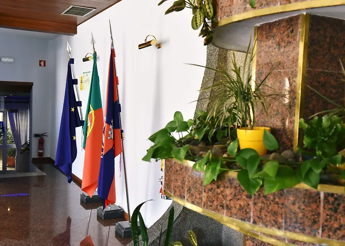 Hotel que aceita animais de estimação: Hotel Aeroporto