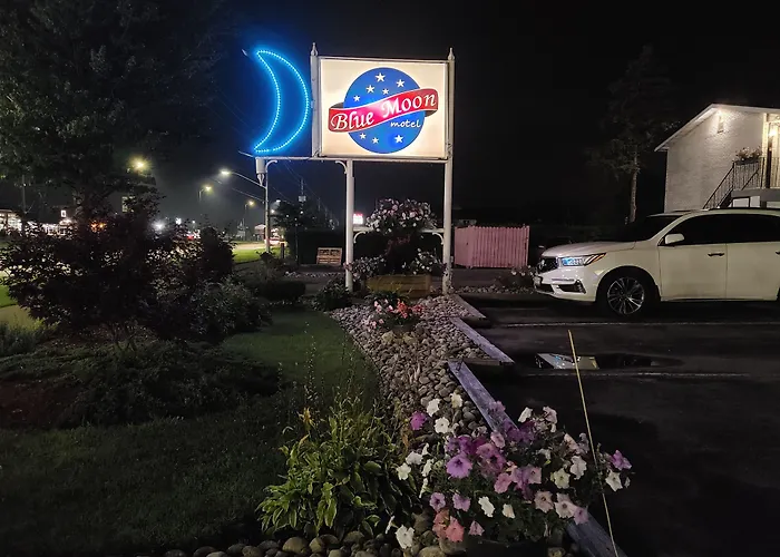 Blue Moon Motel
