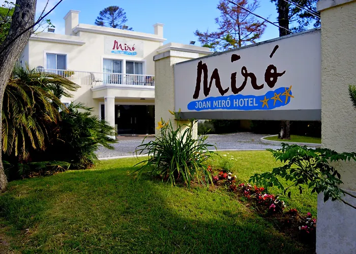  Joan Miró